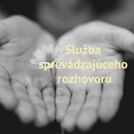 Projekt Služba sprevádzajúceho rozhovoru